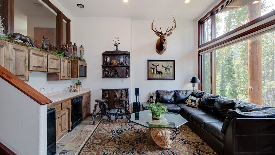 Lower apartment living room