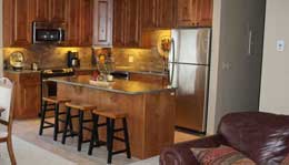 Tannenbaum Breckenridge Condo