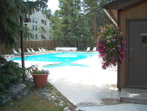 Tannenbaum vacation rental pool